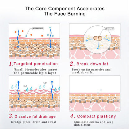 Infographic showing face slimming process: targeted penetration, fat breakdown, drainage, and skin firming, for FashionRay beauty care.